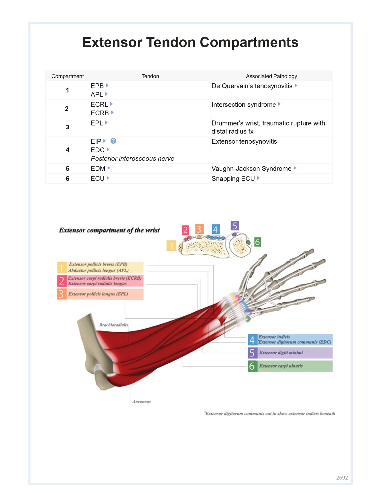 Orthobullets Notes - Vol 3