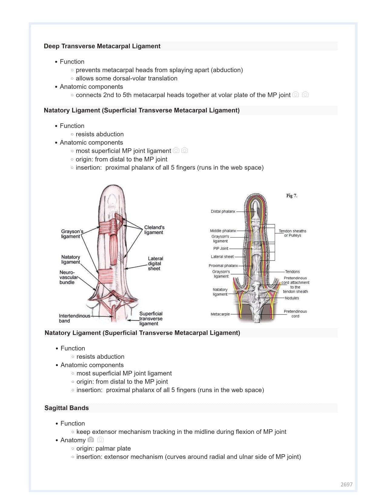 Orthobullets Notes - Vol 3