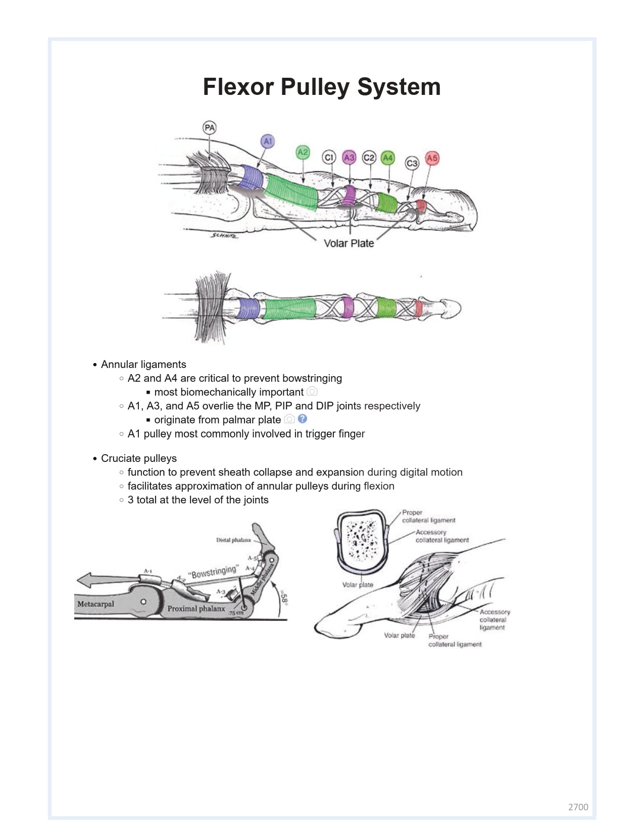 Orthobullets Notes - Vol 3