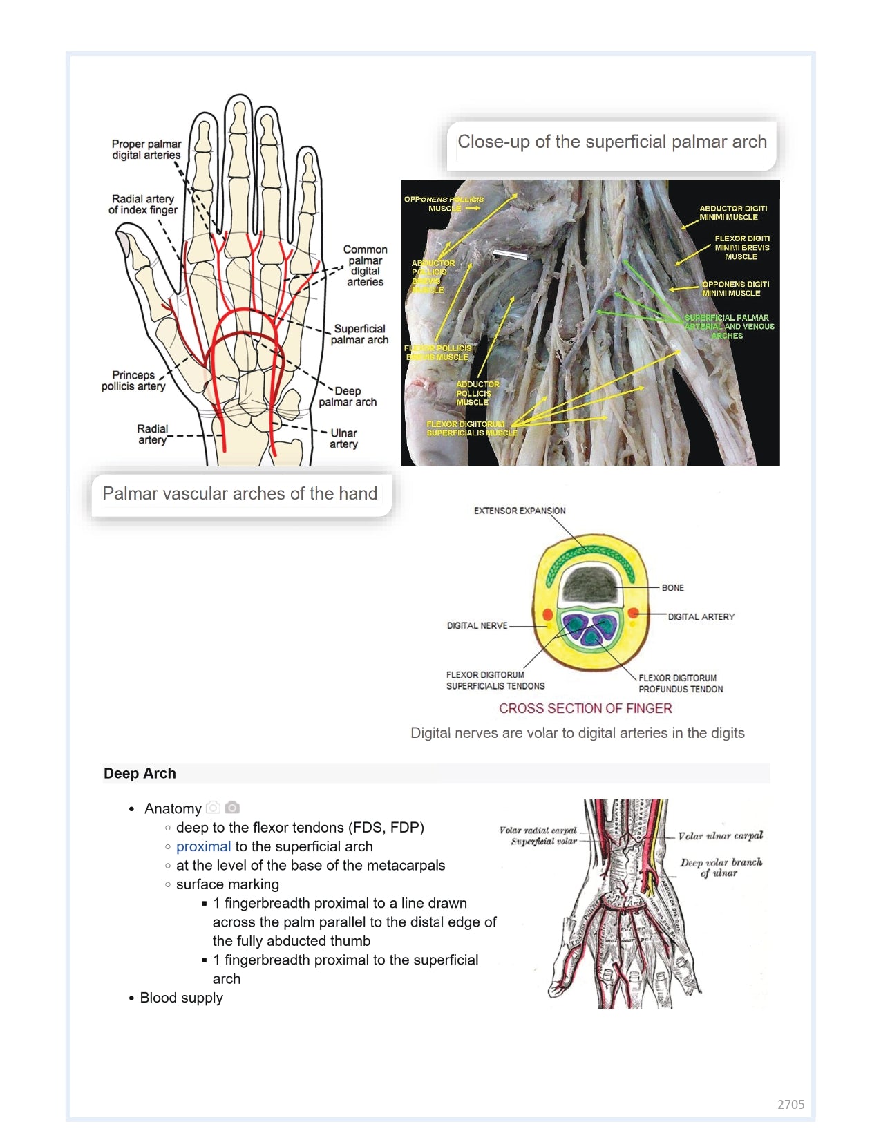 Orthobullets Notes - Vol 3