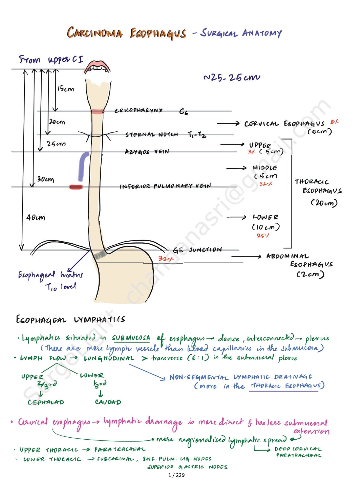 SURGICAL ANATOMY - Surgery Notes GMC