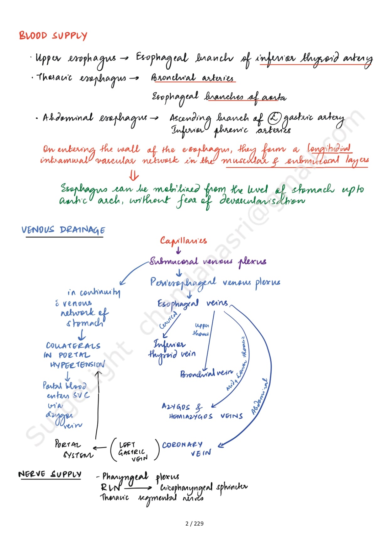 SURGICAL ANATOMY - Surgery Notes GMC