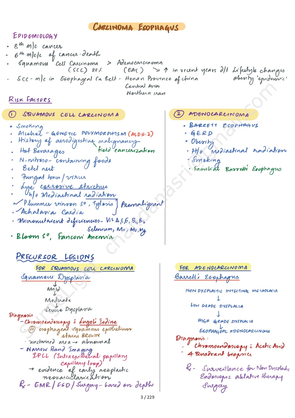 SURGICAL ANATOMY - Surgery Notes GMC