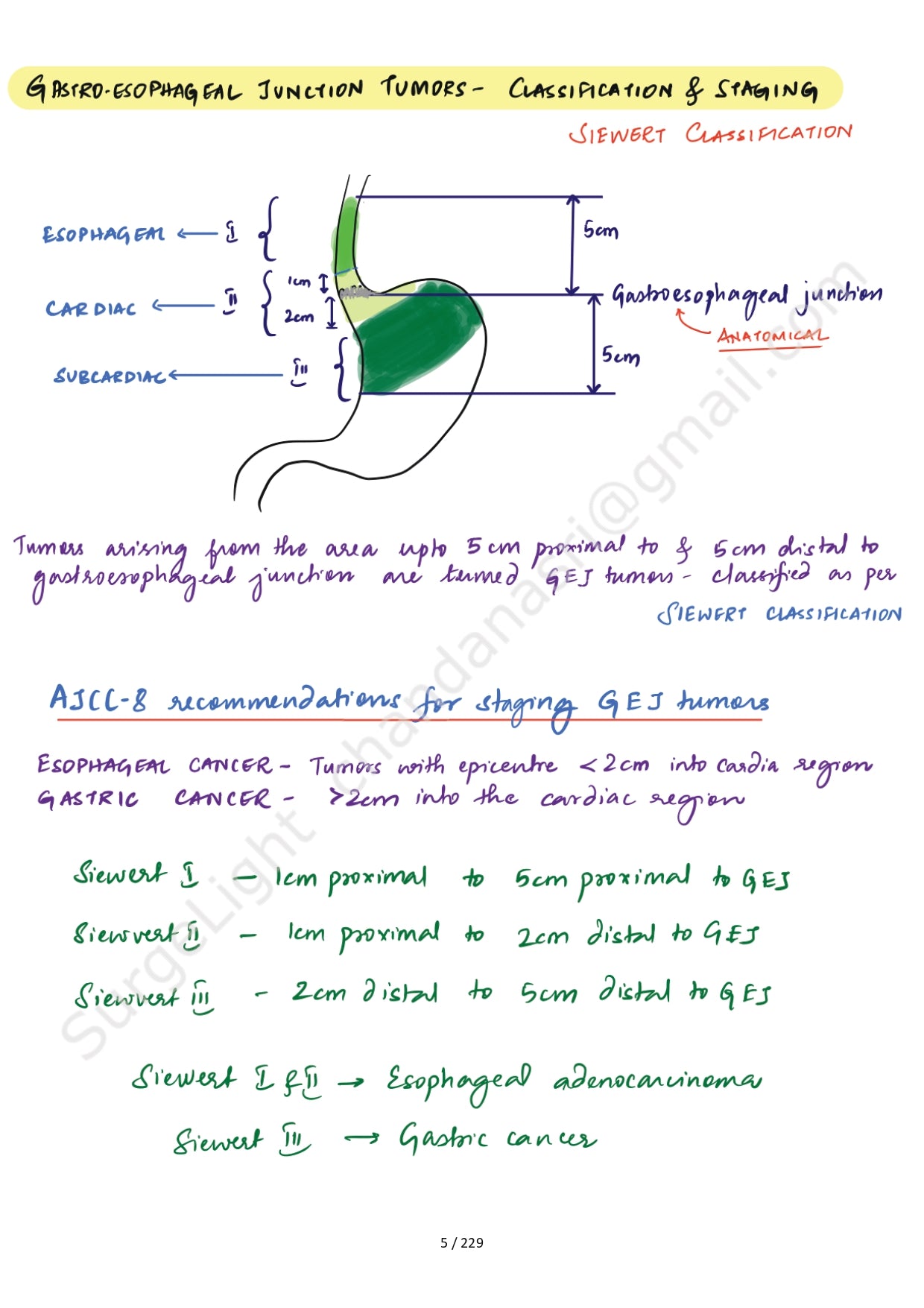 SURGICAL ANATOMY - Surgery Notes GMC