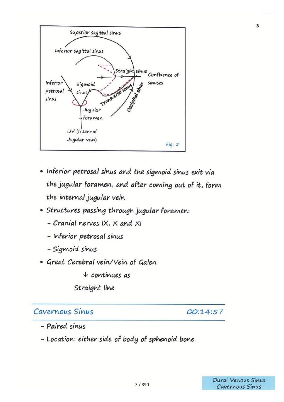 ANATOMY AZAM SIR NEET-PG NOTES 2024 - PrintDoc