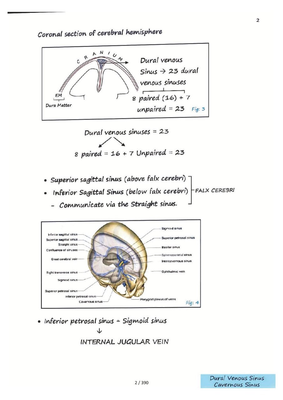 ANATOMY AZAM SIR NEET-PG NOTES 2024 - PrintDoc