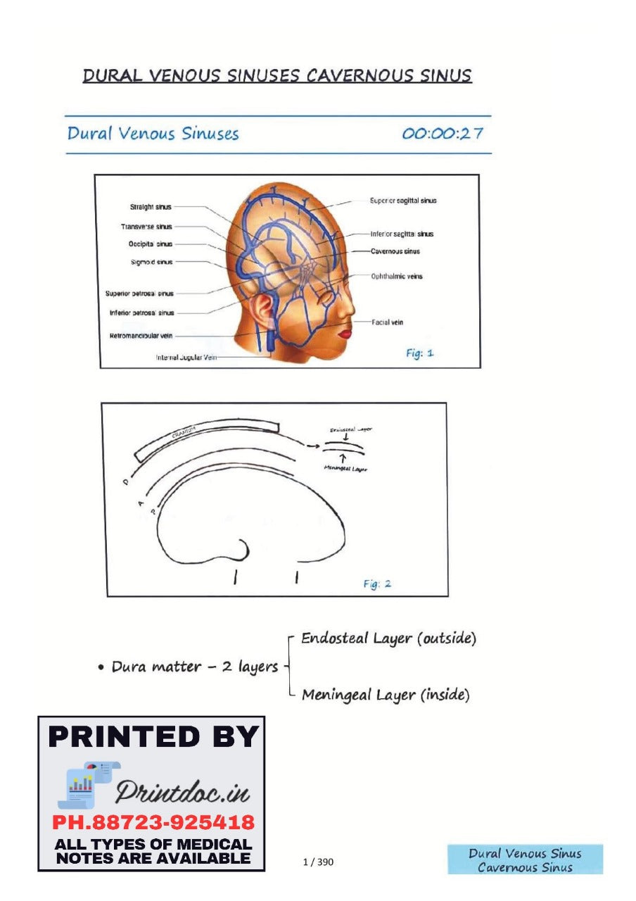 ANATOMY AZAM SIR NEET-PG NOTES 2024 - PrintDoc