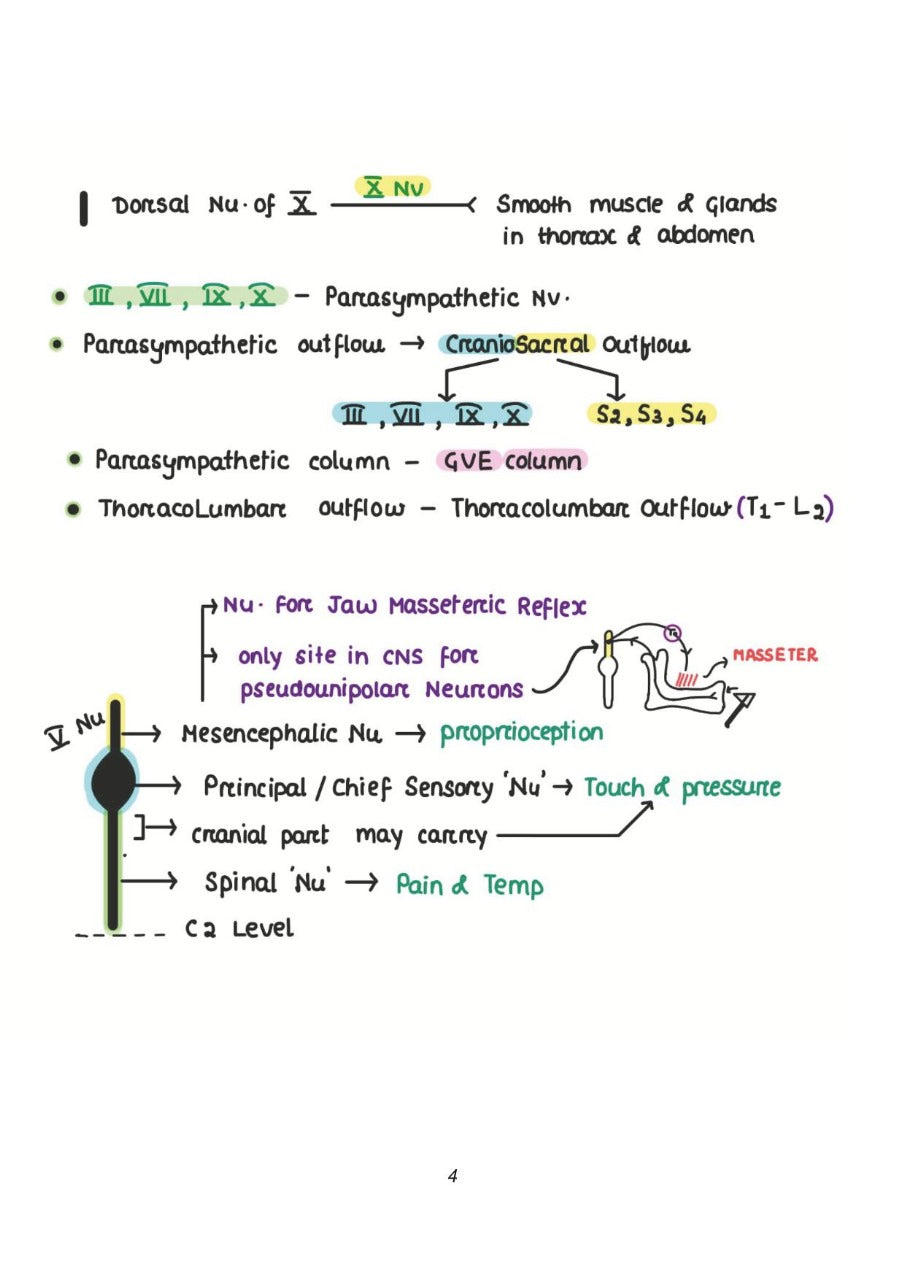 ANATOMY NEET-PG BY DR. ASHWANI KUMAR - PrintDoc