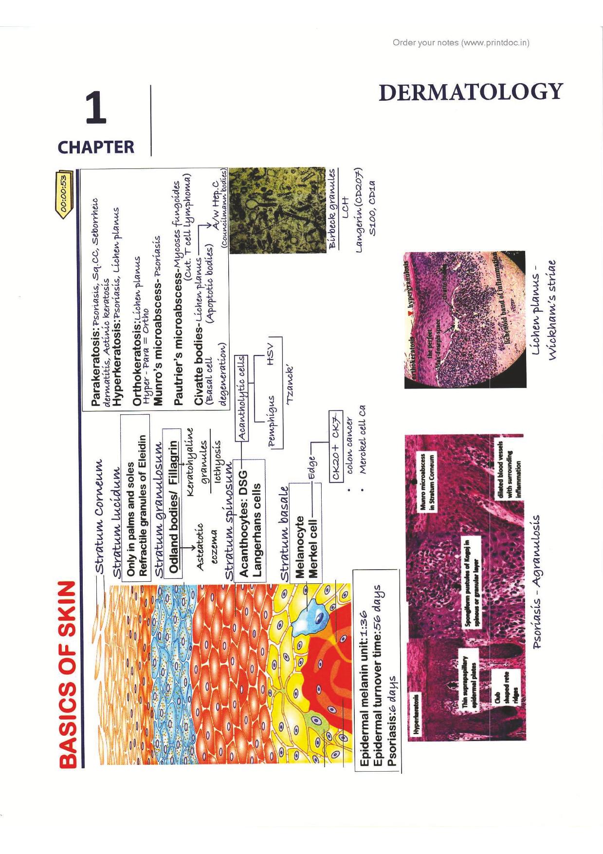 BTR 2.0 Annotated Workbook NEET-PG Notes by Dr. Zainab Vora (New Offer) - PrintDoc