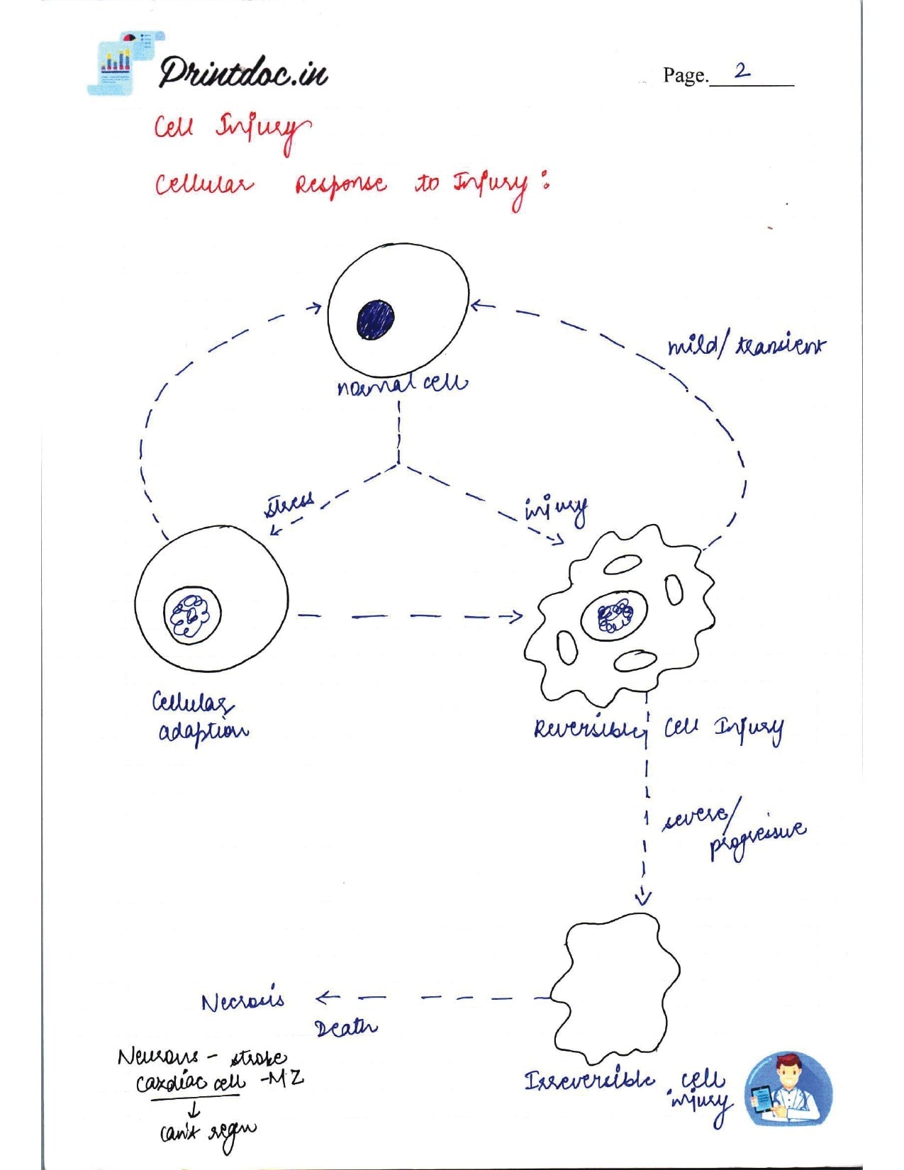 DAMS - PATHOLOGY NOTES 2022-23 - PrintDoc