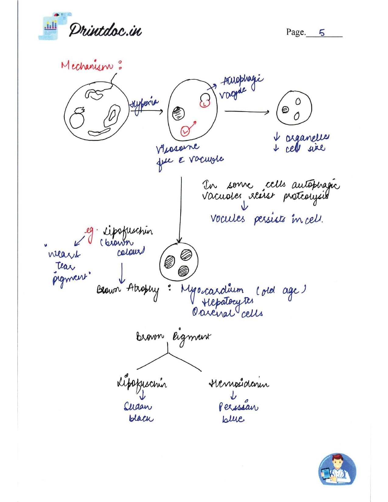 DAMS - PATHOLOGY NOTES 2022-23 - PrintDoc