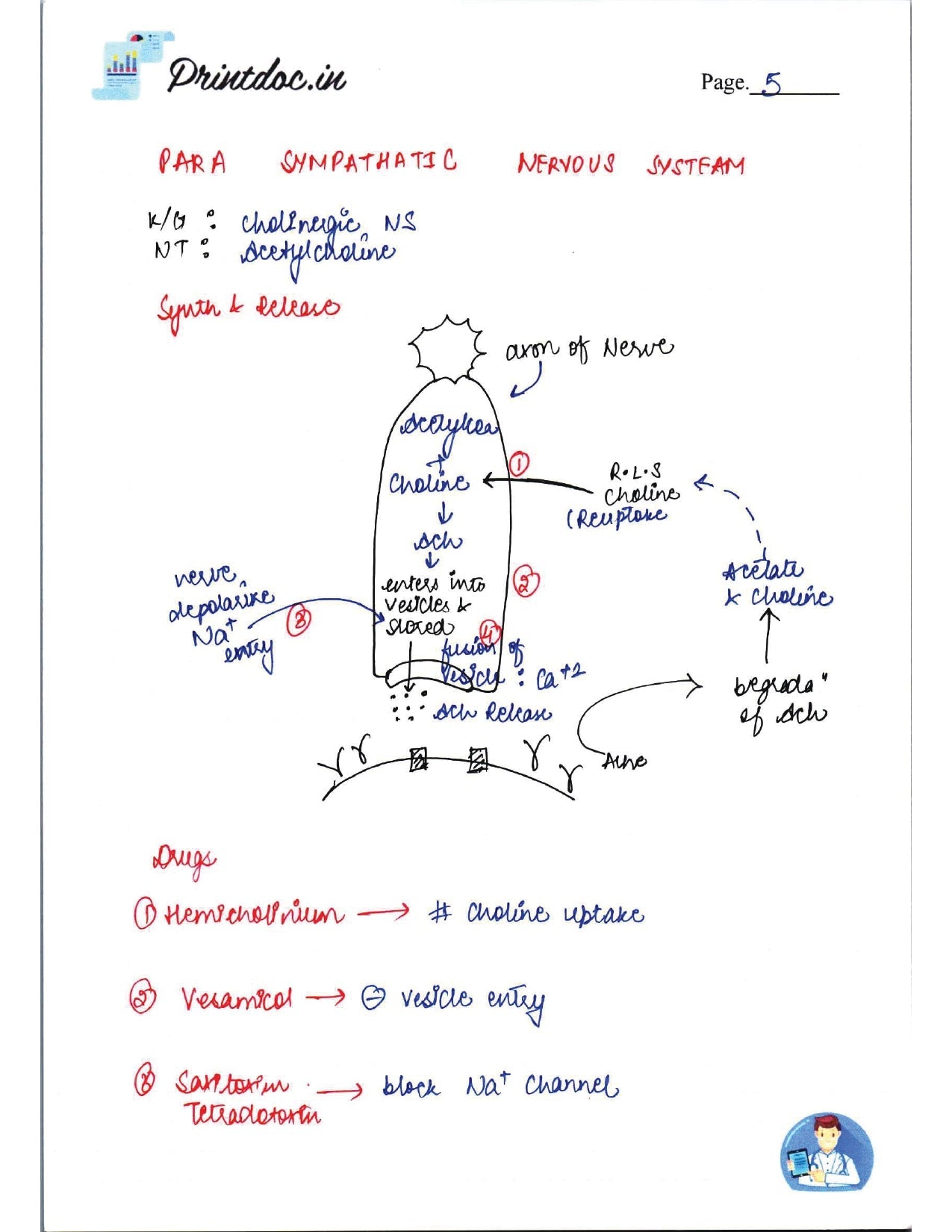 DAMS - PHARMACOLOGY NOTES 2022-23 - PrintDoc