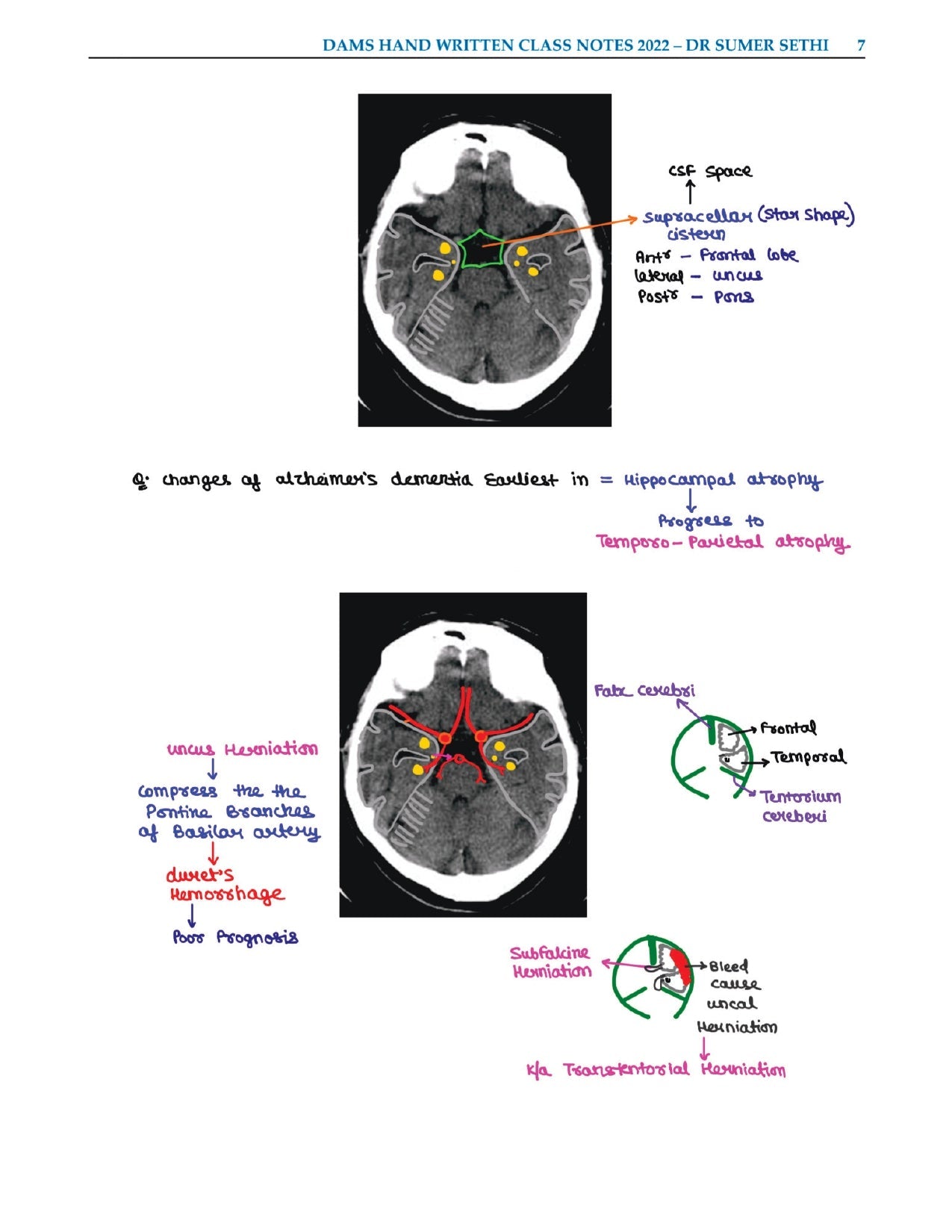 DAMS - RADIOLOGY NOTES 2022-23 - PrintDoc