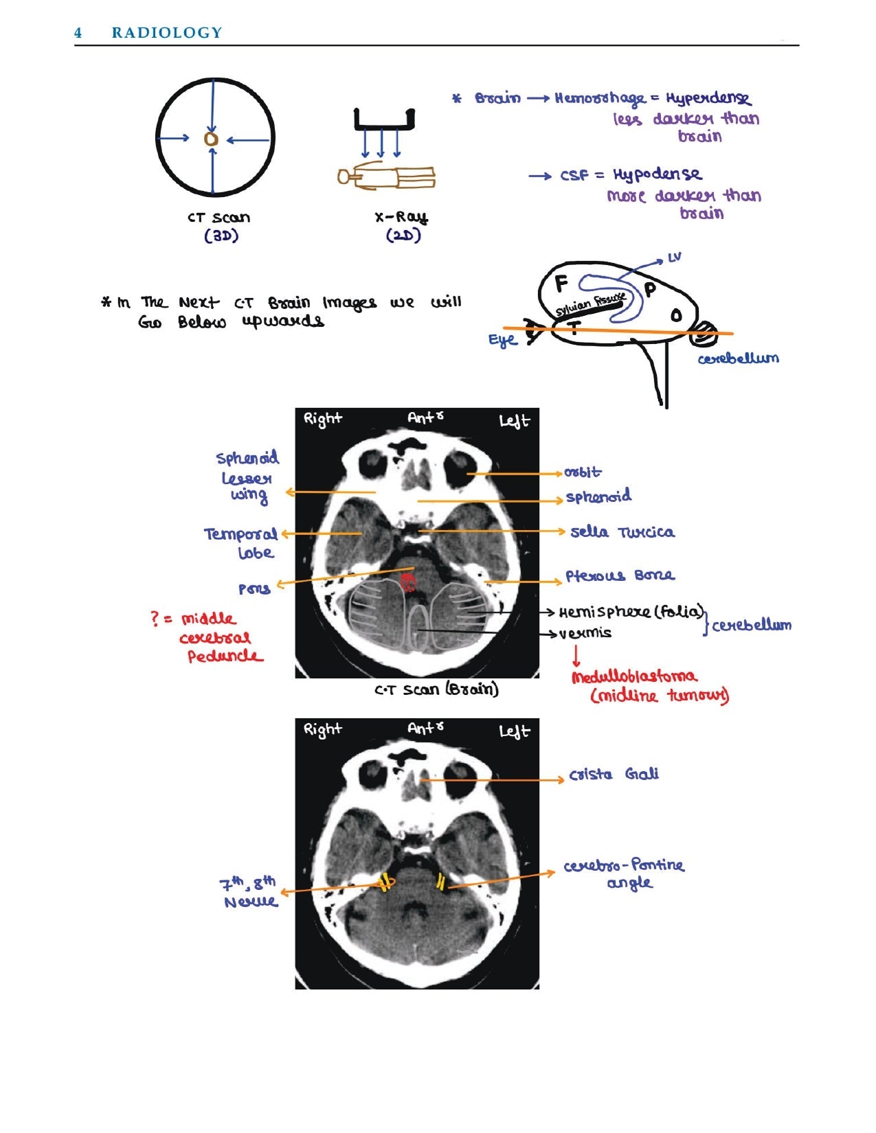 DAMS - RADIOLOGY NOTES 2022-23 - PrintDoc