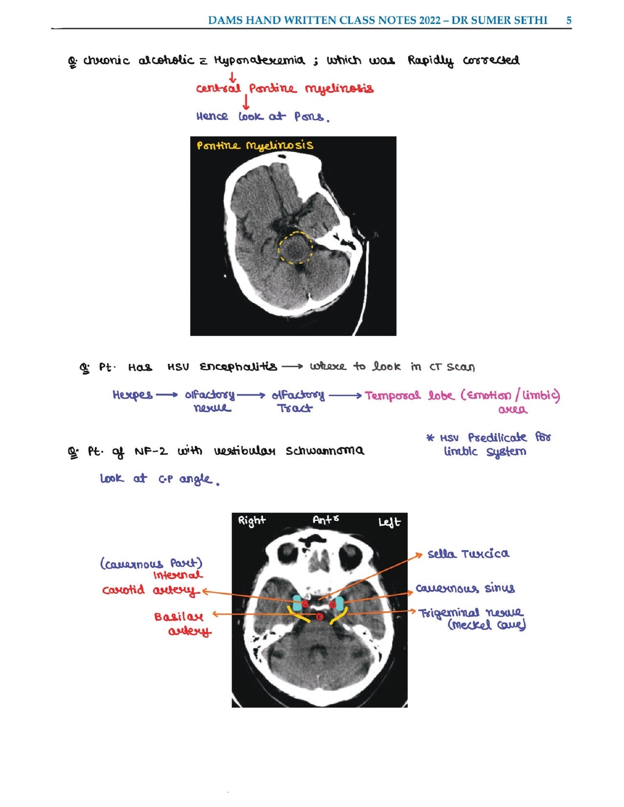 DAMS - RADIOLOGY NOTES 2022-23 - PrintDoc