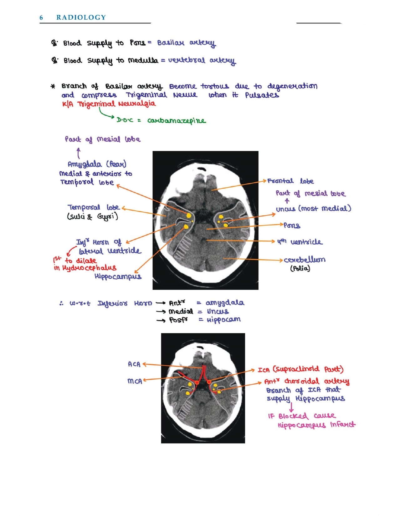 DAMS - RADIOLOGY NOTES 2022-23 - PrintDoc