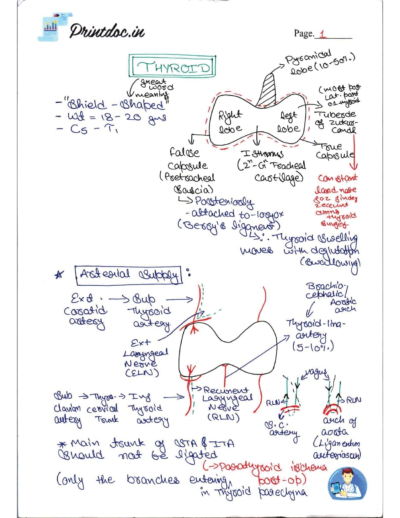 DAMS - SURGERY NOTES 2022-23 - PrintDoc