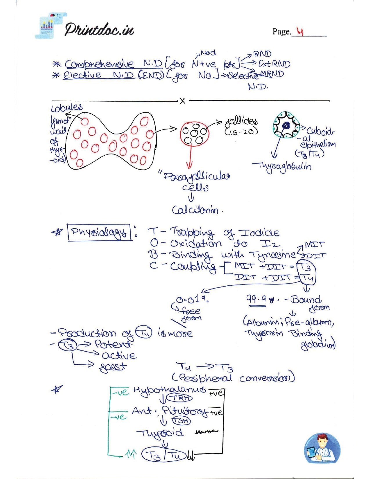 DAMS - SURGERY NOTES 2022-23 - PrintDoc