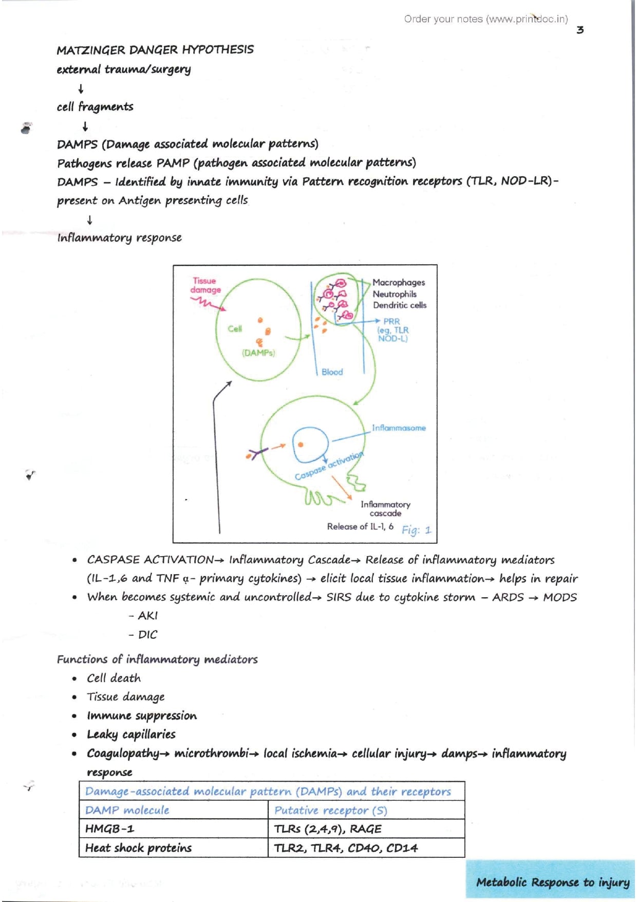 Dr. Tutorial (Surgery) Part 1 - PrintDoc
