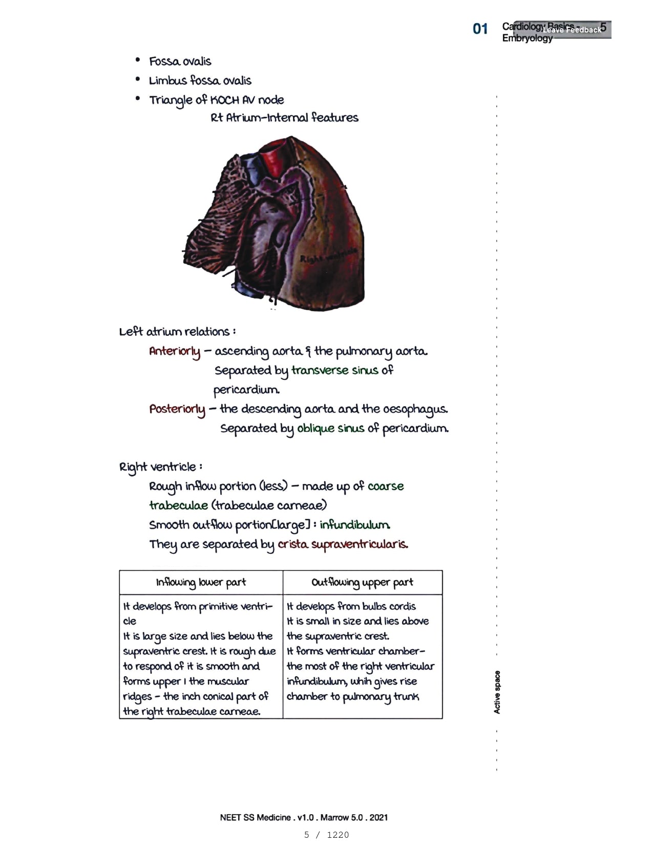 Medicine Neet SS - CARDIOLOGY - PrintDoc