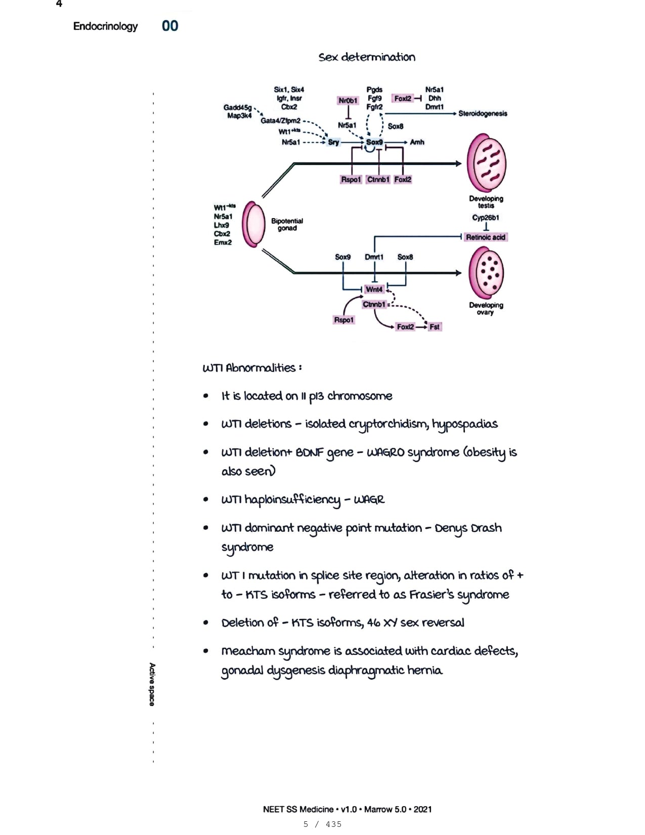 Medicine Neet SS - ENDOCRINOLOGY - PrintDoc