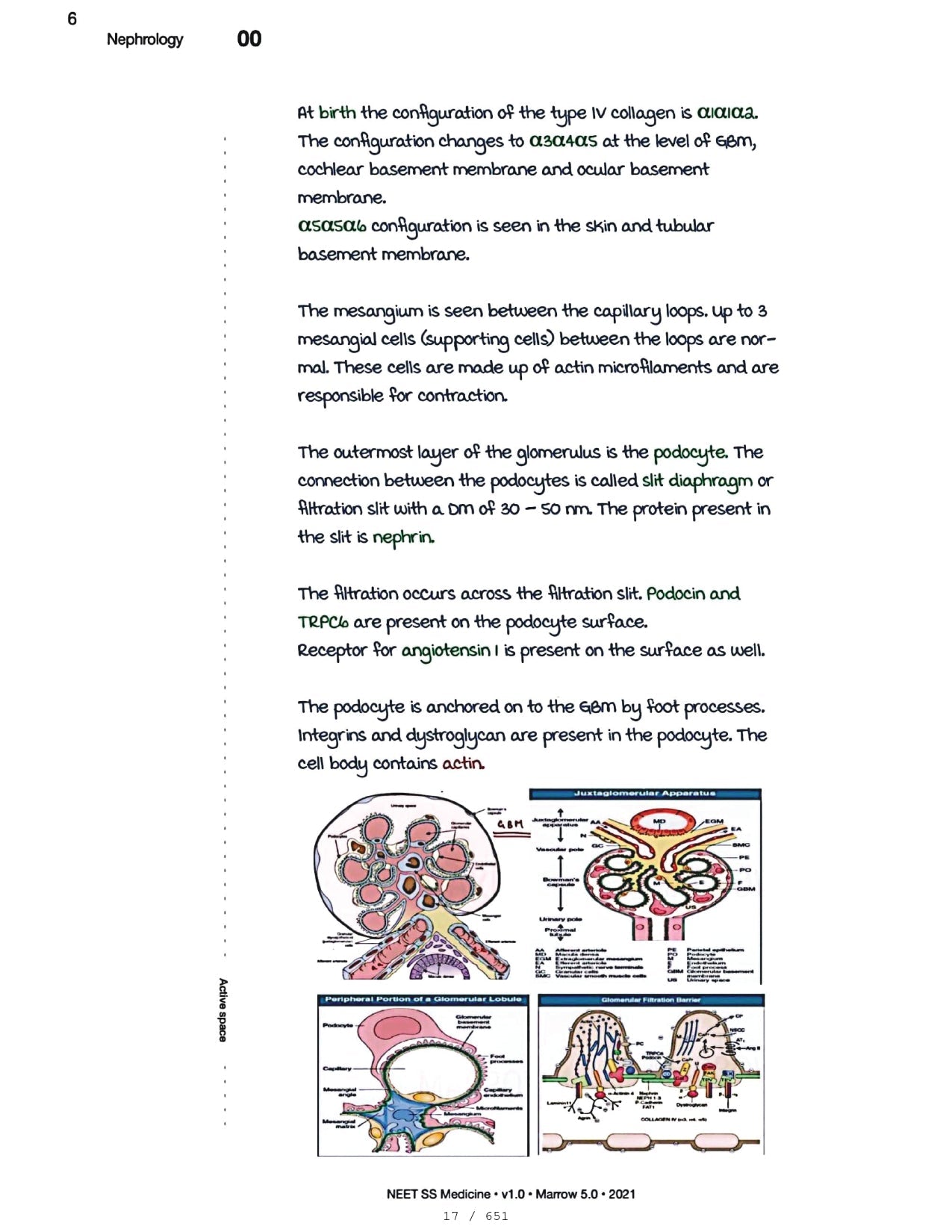 Medicine Neet SS - NEPHROLOGY - PrintDoc