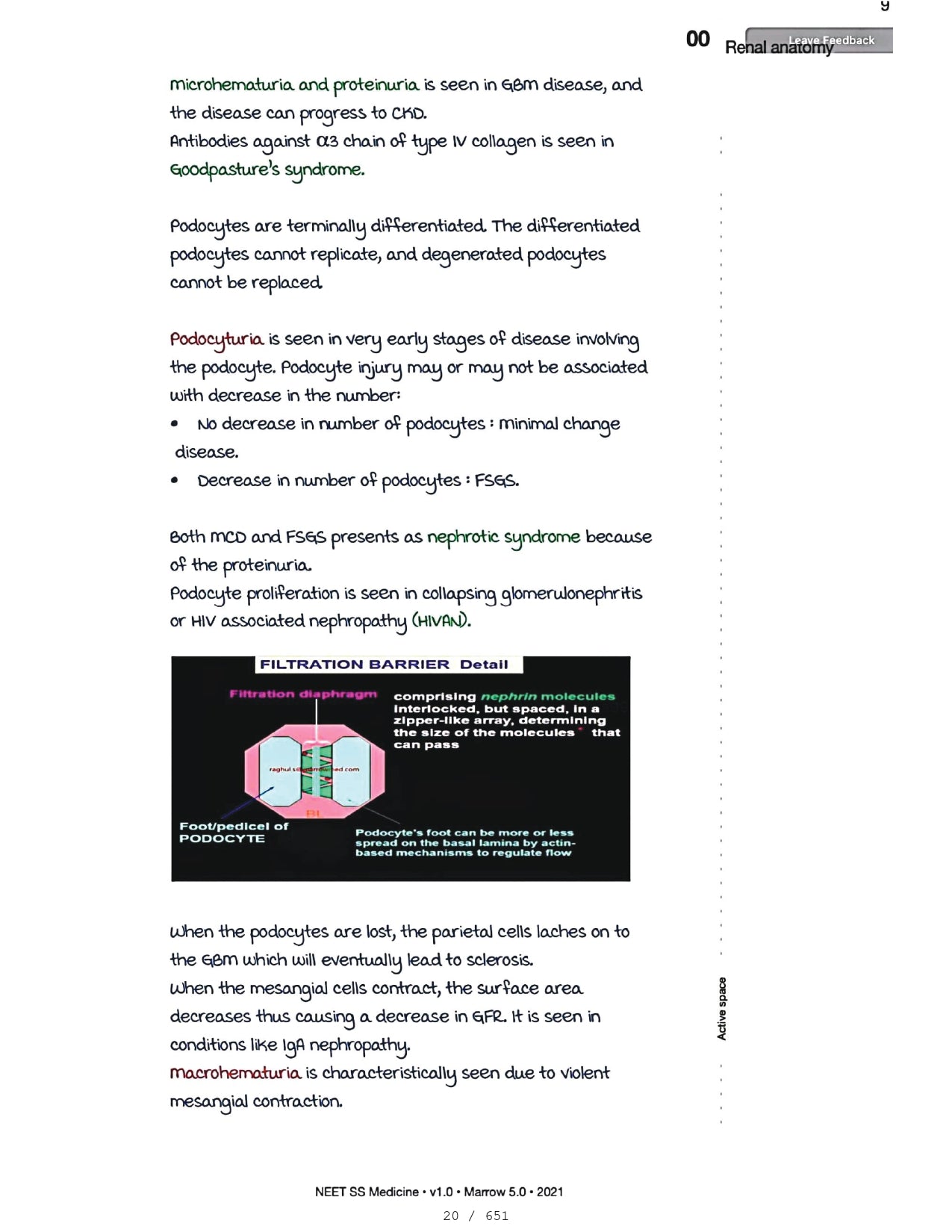 Medicine Neet SS - NEPHROLOGY - PrintDoc