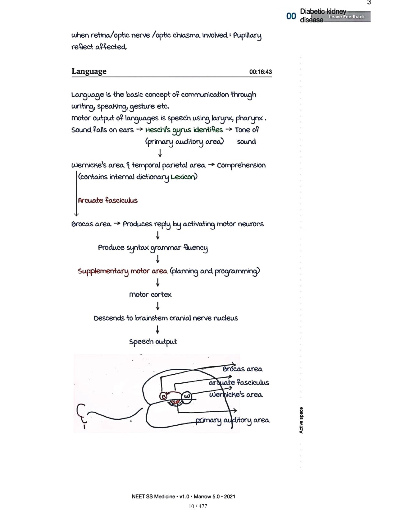 Medicine Neet SS - NEUROLOGY - PrintDoc