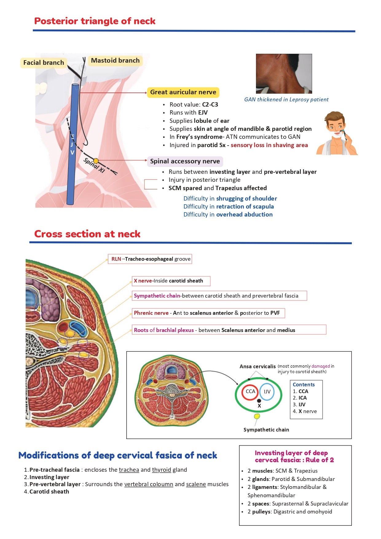 BTR BASED NOTES BY Dr. Ananya Sahoo