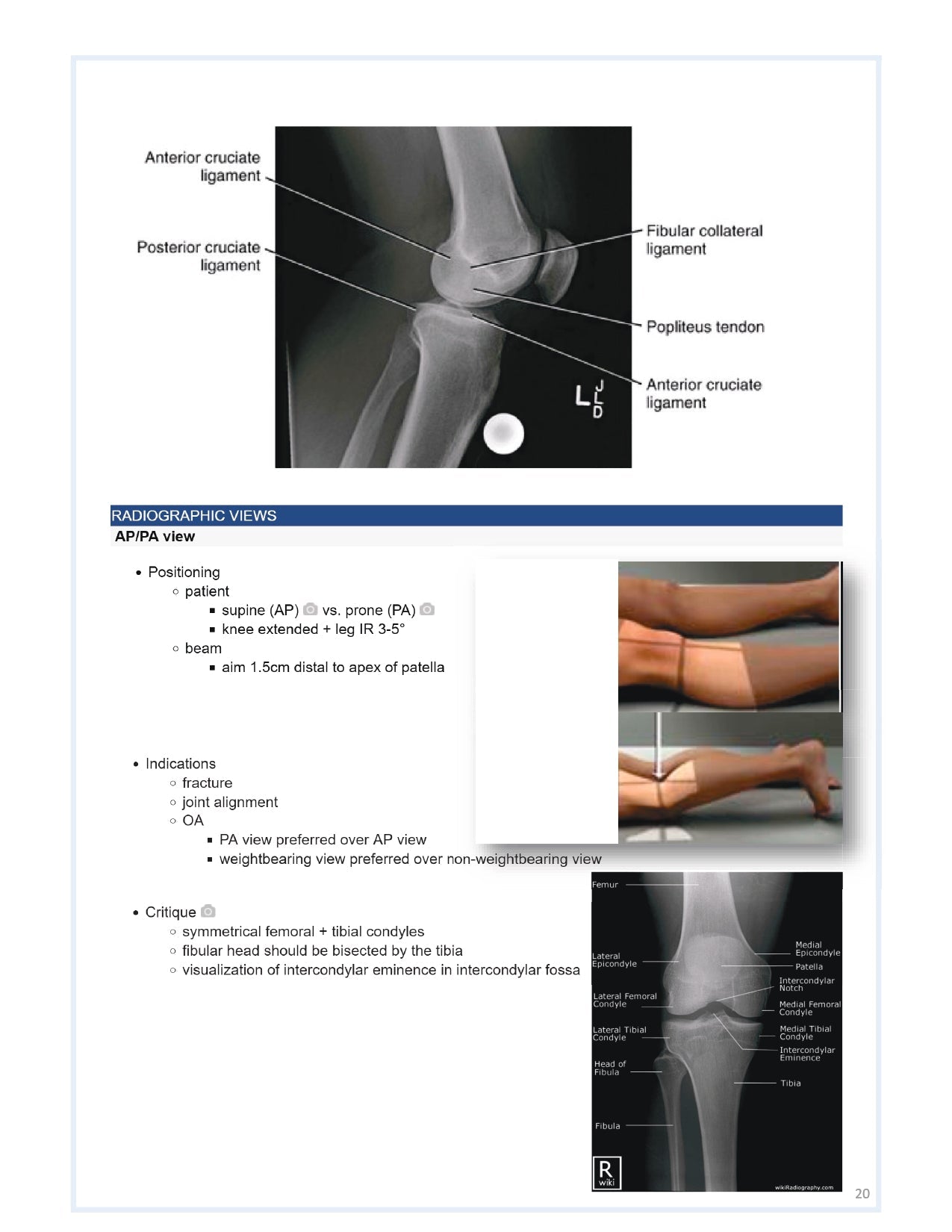 Orthobullets Notes - Vol 1 - PrintDoc