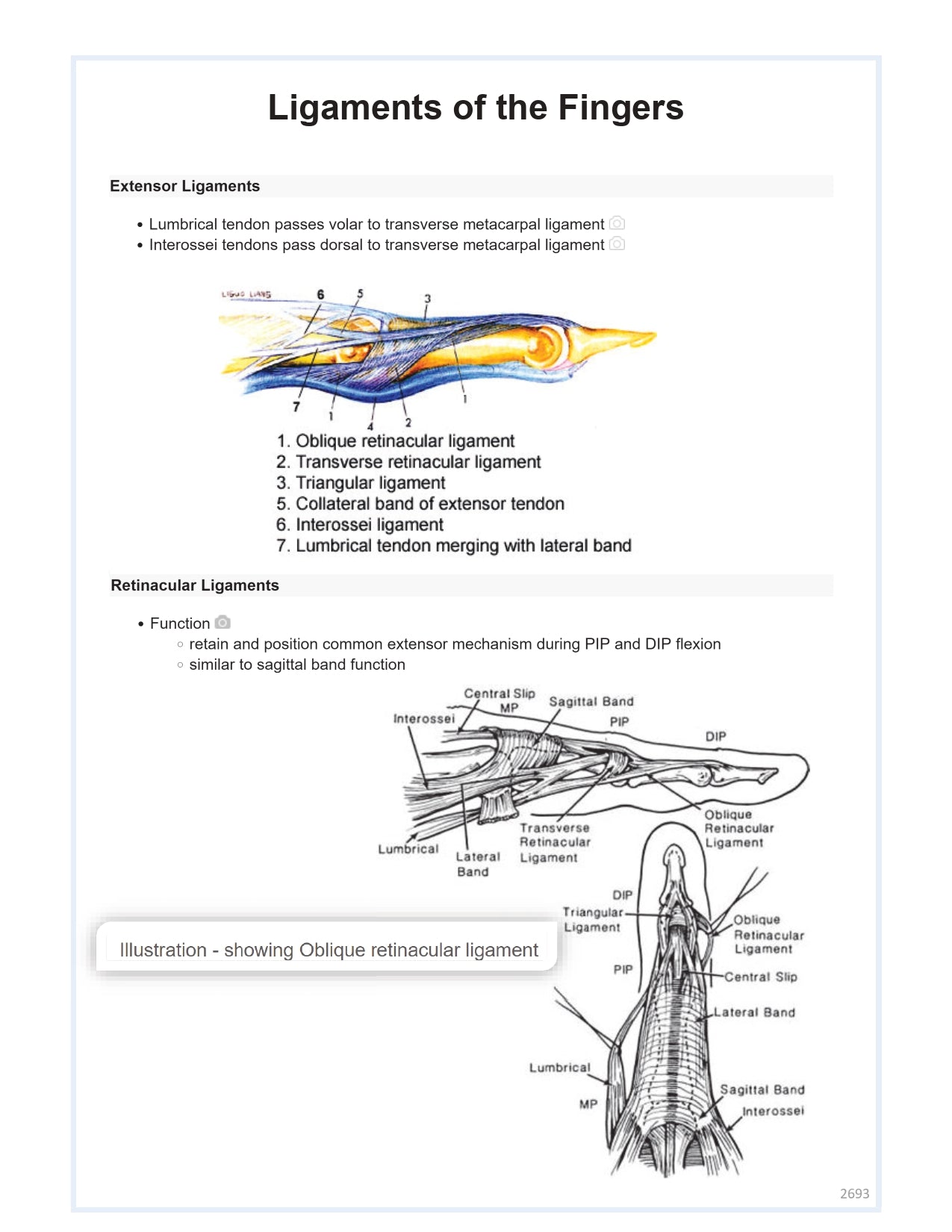 Orthobullets Notes - Vol 3 - PrintDoc