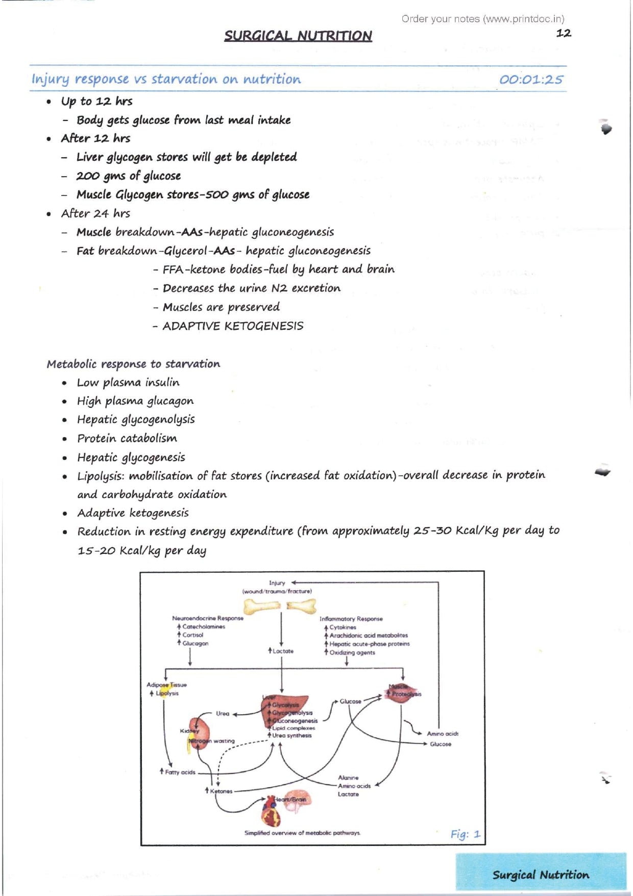 Dr. Tutorial (Surgery) Part 1