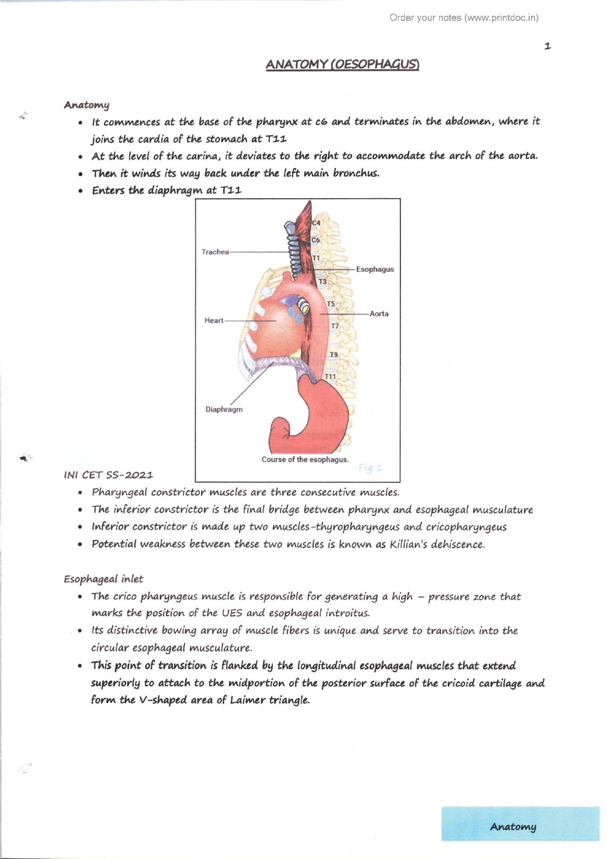 Dr. Tutorial (Surgery) Part 2