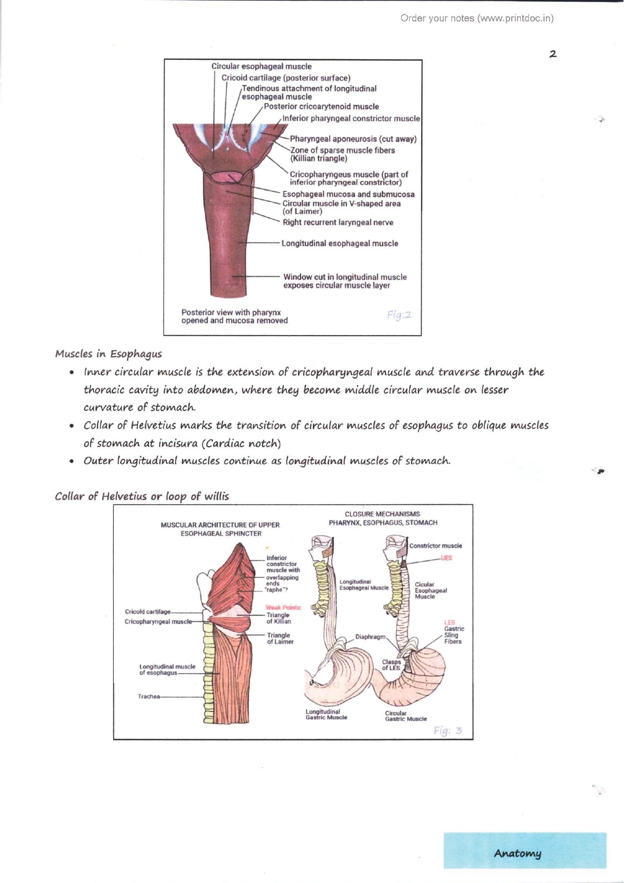 Dr. Tutorial (Surgery) Part 2