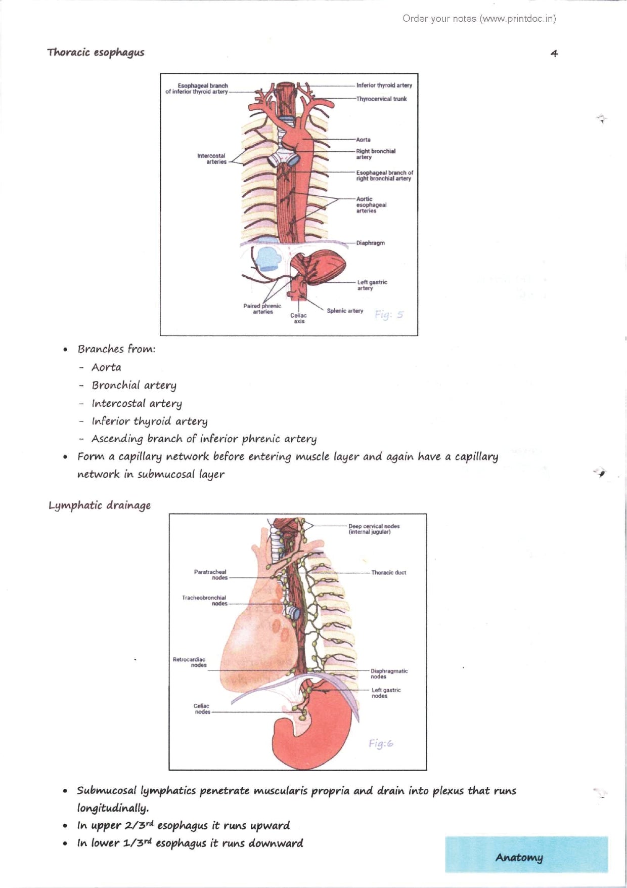 Dr. Tutorial (Surgery) Part 2