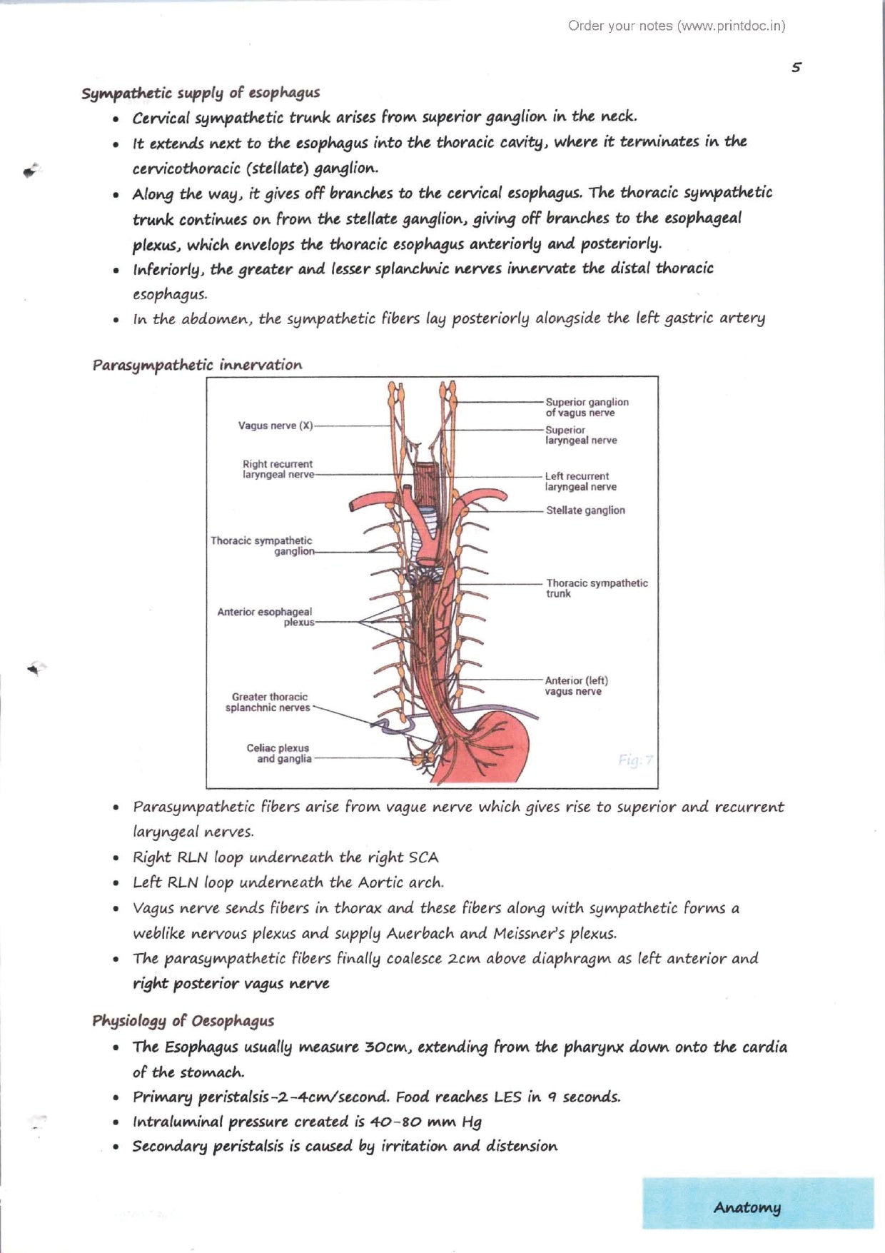 Dr. Tutorial (Surgery) Part 2