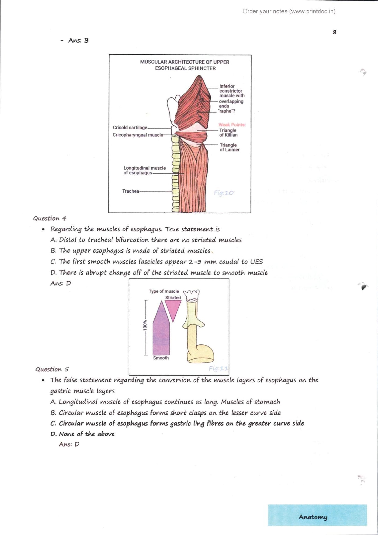 Dr. Tutorial (Surgery) Part 2