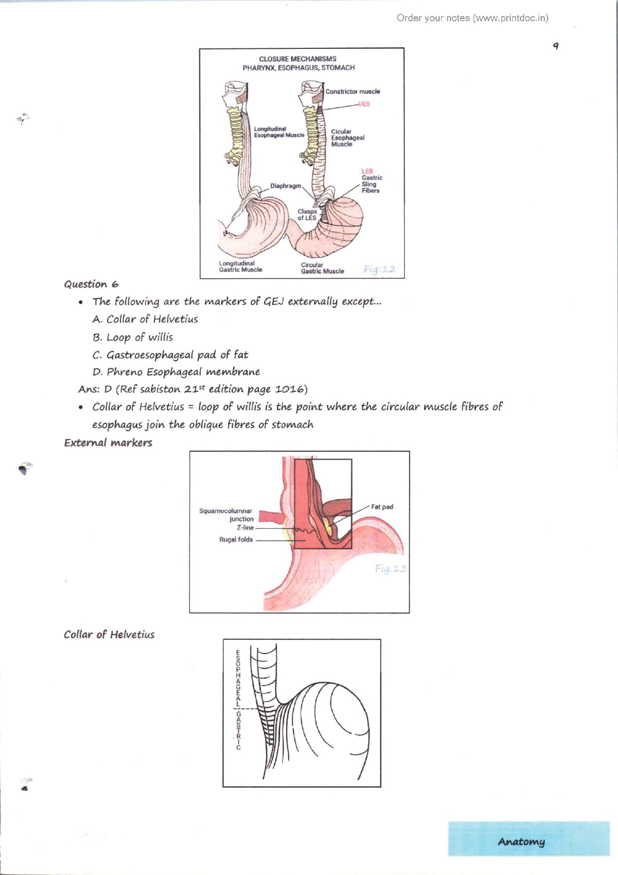 Dr. Tutorial (Surgery) Part 2