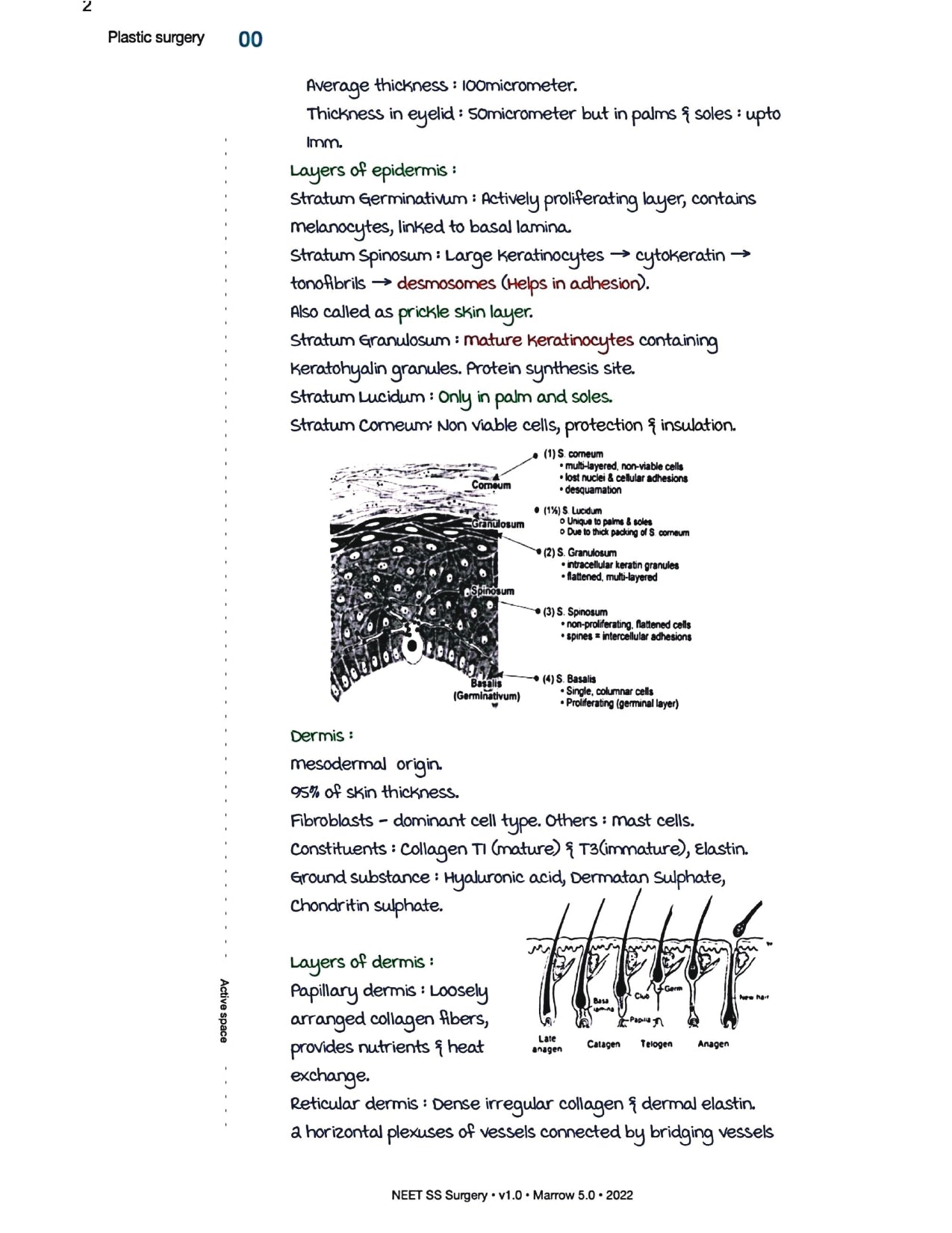Surgery Neet SS - Plastic Surgery - PrintDoc