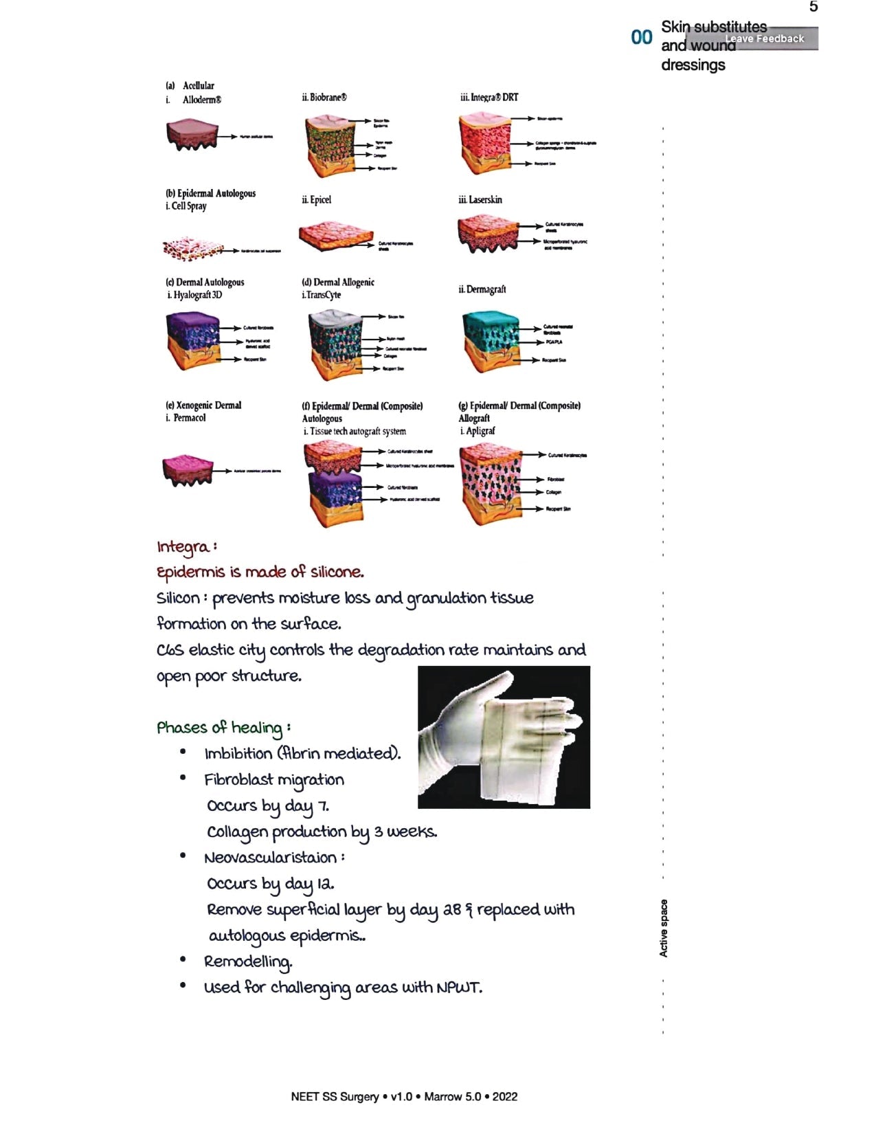 Surgery Neet SS - Plastic Surgery - PrintDoc
