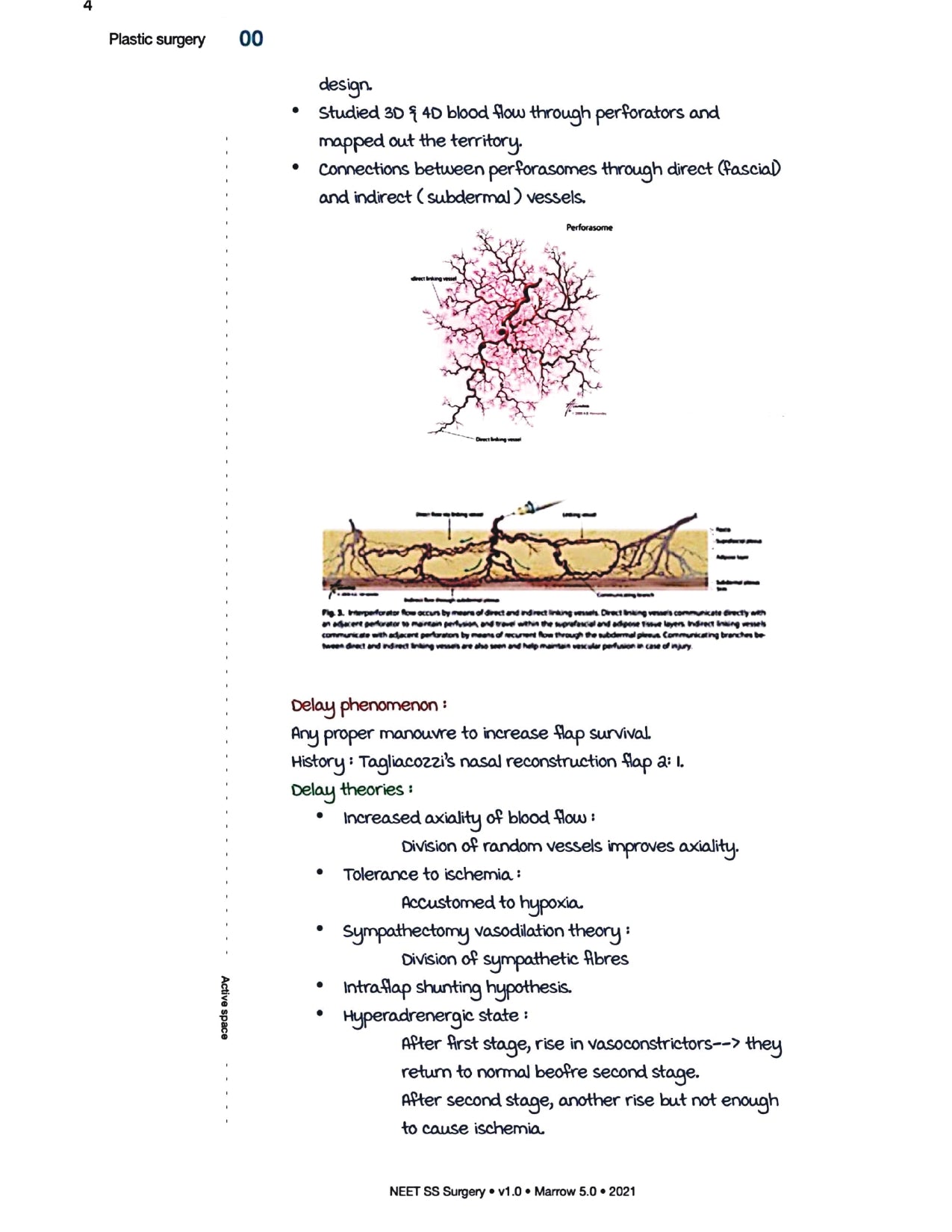 Surgery Neet SS - Plastic Surgery - PrintDoc