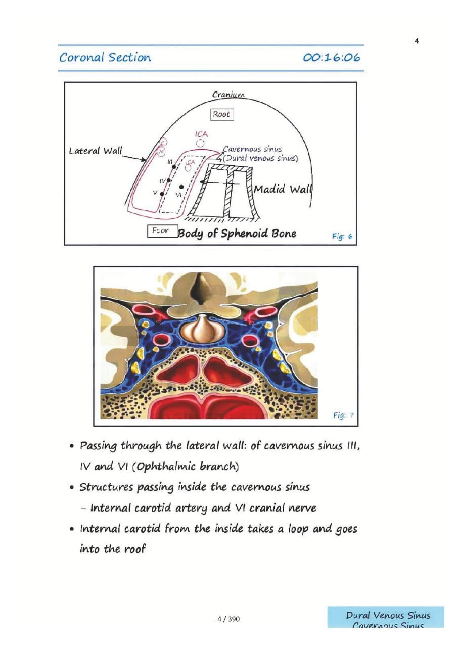 ANATOMY AZAM SIR NEET-PG NOTES 2024