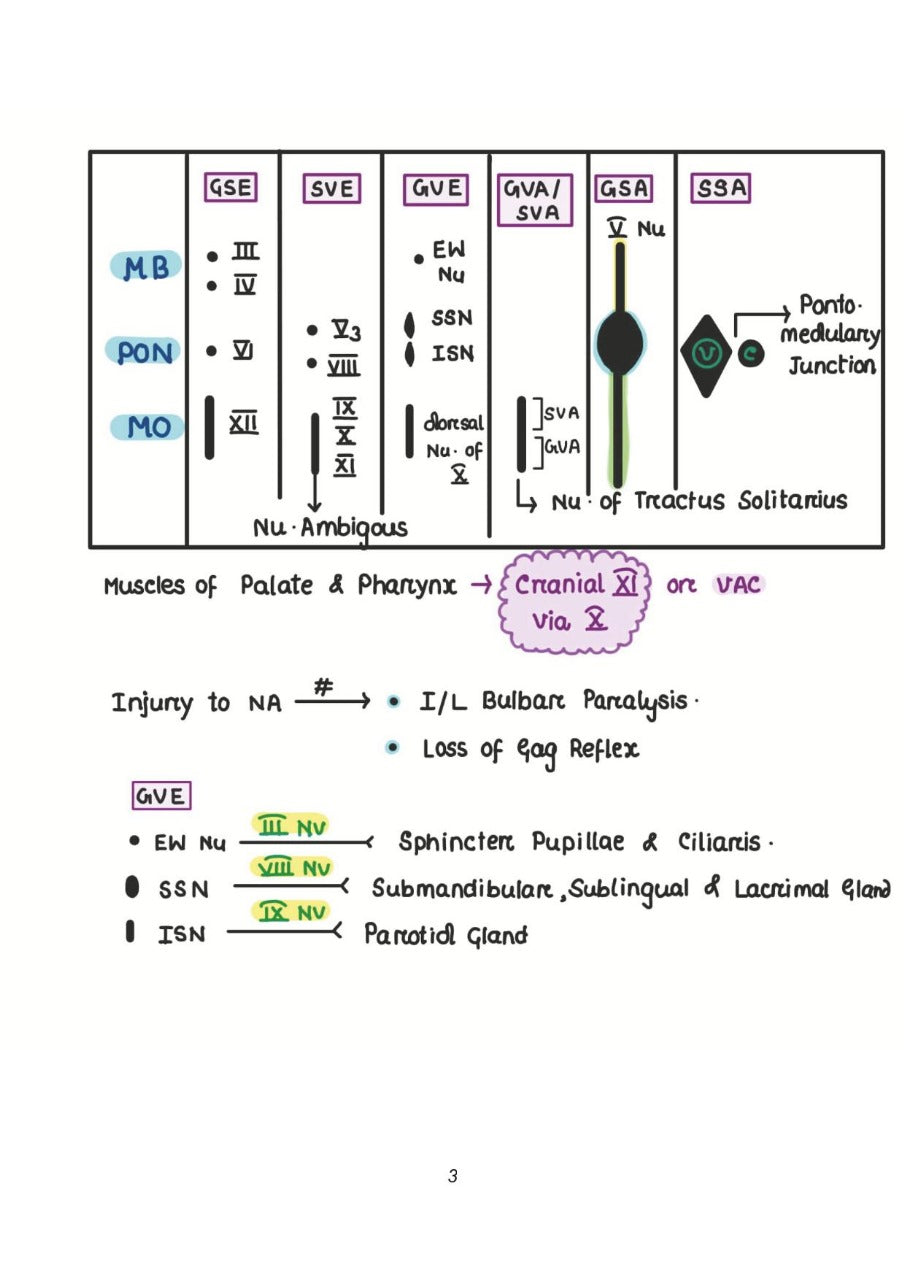 ANATOMY NEET-PG BY DR. ASHWANI KUMAR 2023