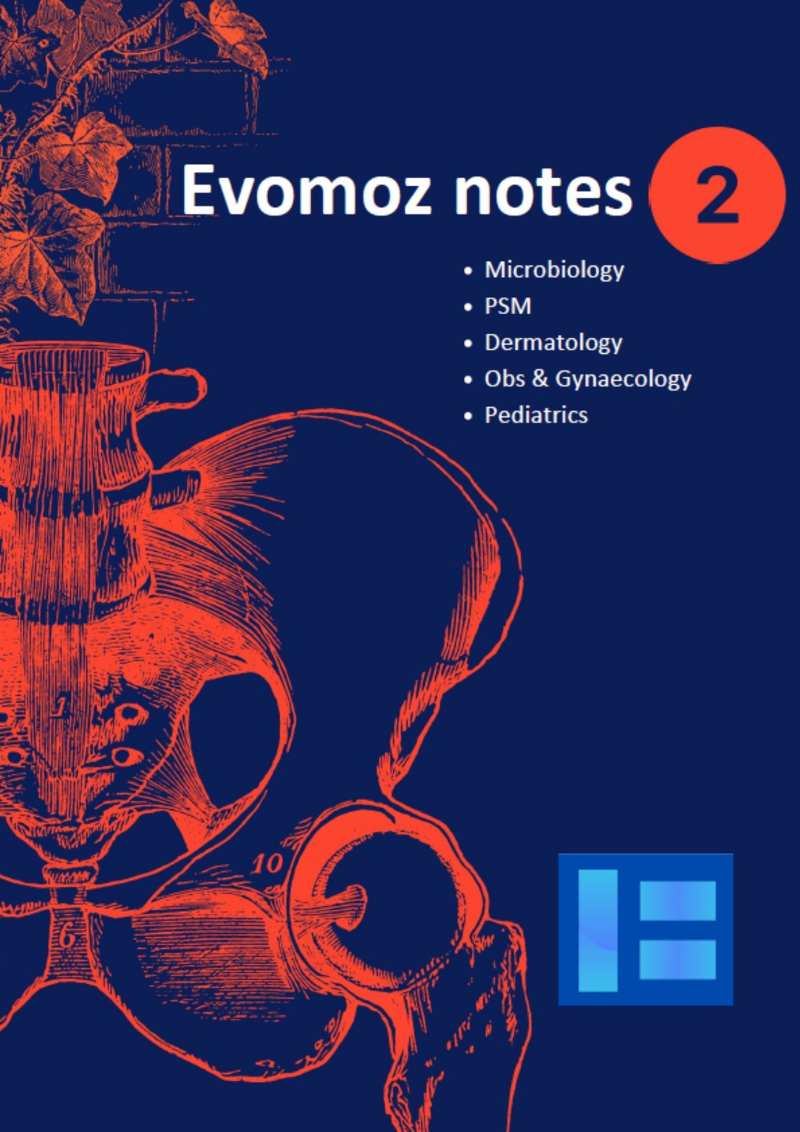 EVOMOZ VOL 2 NOTES